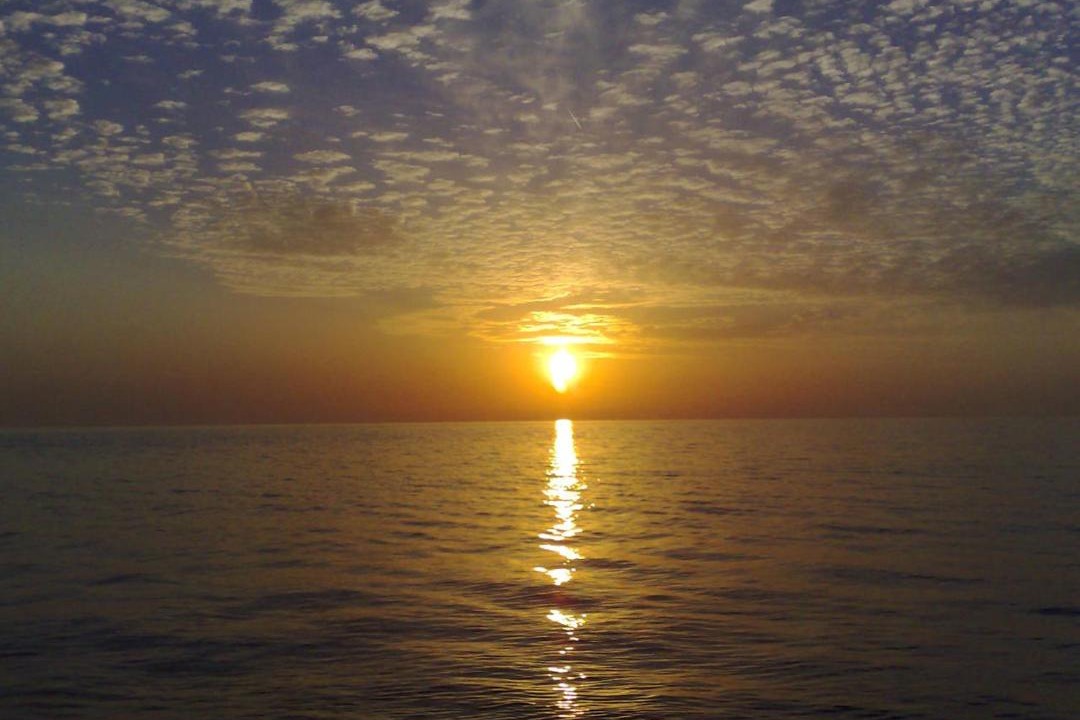 Photo of Others in Kobuleti