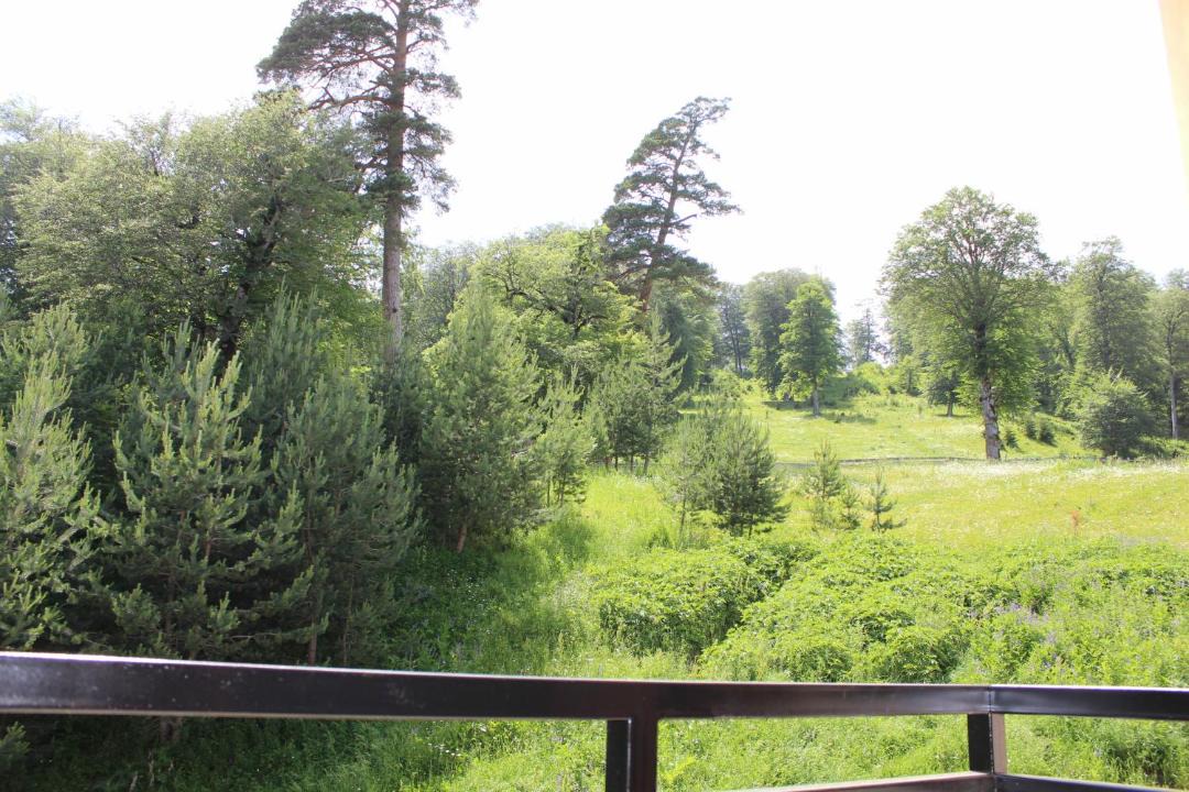 Photo of Outdoor in Bakuriani