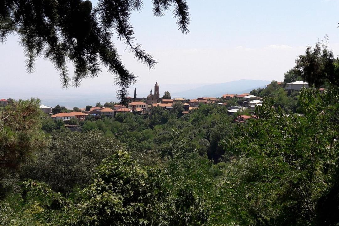 Photo of Others in Sighnaghi