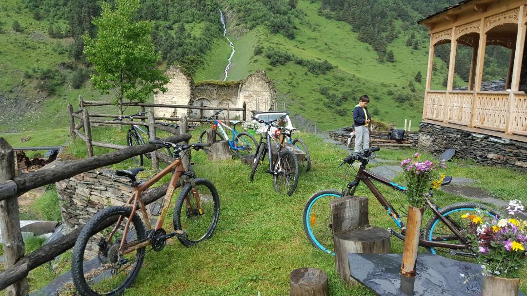 Photo of Others in Dartlo