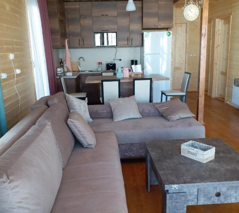 Photo of Livingroom in Kazbegi