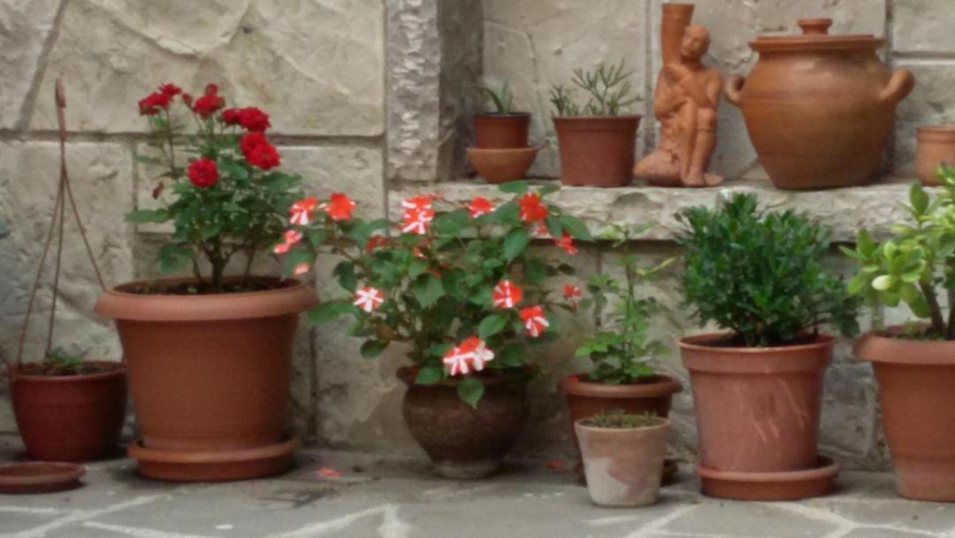 Photo of Others in Mtskheta