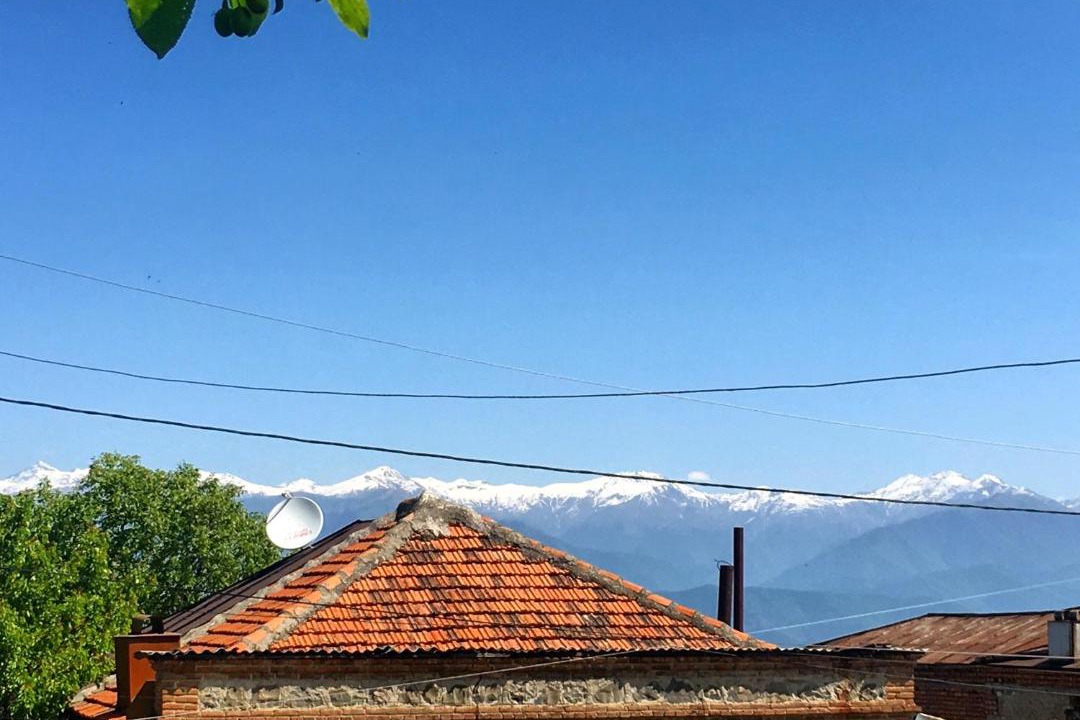 Photo of Others in Telavi