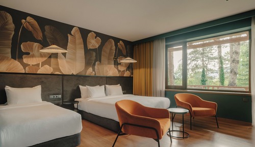 Superior Room, Multiple Beds