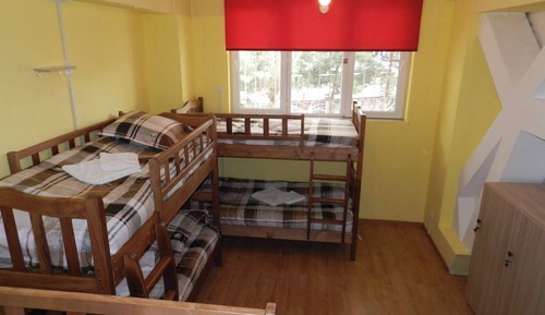 Classic Shared Dormitory