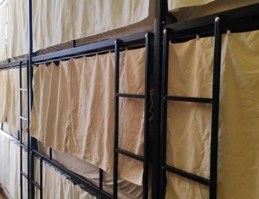 Bunk Bed in Mixed Dormitory Room