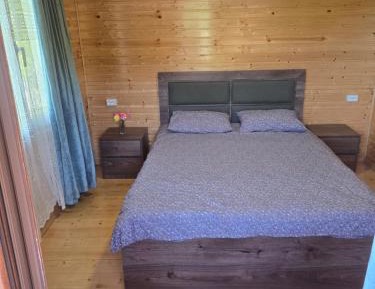 Deluxe Double Room (2 Adults + 1 Child)