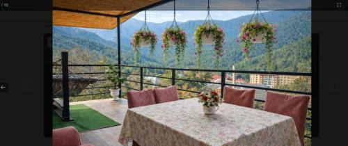 Apartment with Mountain View