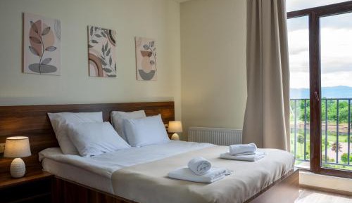 Double Room with Mountain View