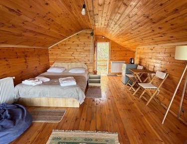 Junior Suite with Terrace