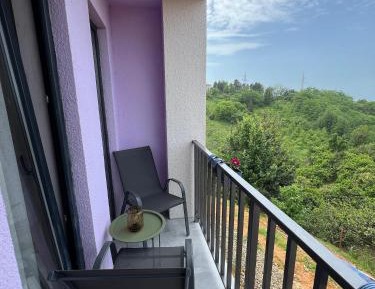 Double or Twin Room with Balcony