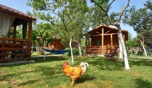 Superior Chalet