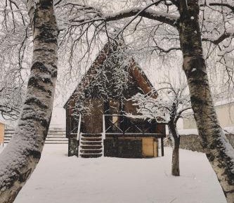 One-Bedroom Chalet
