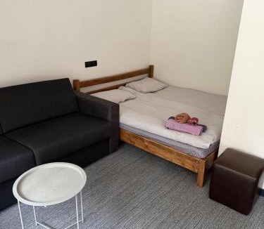 Bakuriani Apartment | ski in ski out apartment in Kokhta-Mitarbi resort