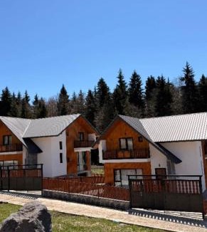 Bakuriani Villa | Snowwood Bakuriani