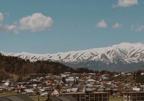 Bakuriani Villa | Snowwood Bakuriani