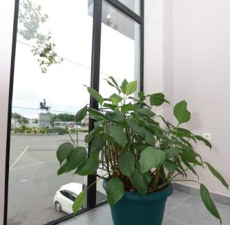 Poti Apartment | SHIN APARTMENTS I შინ
