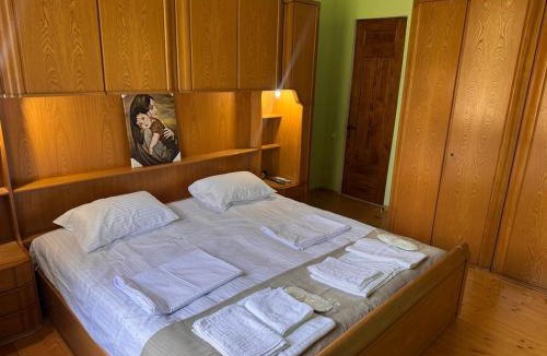 Vani Hotel | Hotel Avalianebis Mamuli