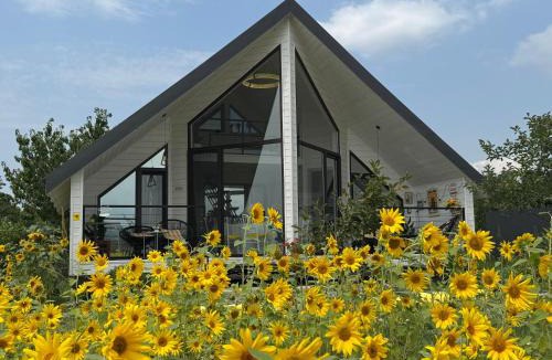 Natakhtari House | Yellow House Natakhtari