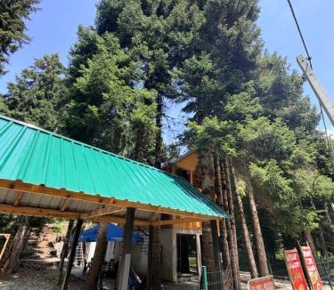 Racha-Lechkhumi and Lower Svaneti Resort | მარტო ტყეში-alone in the forest