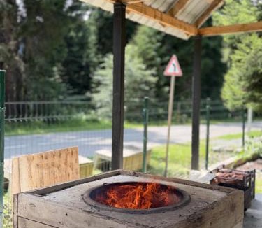 Racha-Lechkhumi and Lower Svaneti Resort | მარტო ტყეში-alone in the forest