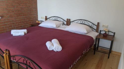 Ambrolauri House | Villa Maiseli