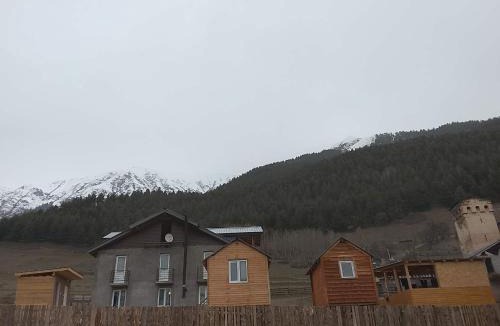 Bagvdanari Ski Chalet | Gugas cottage and guest house in Lakhiri