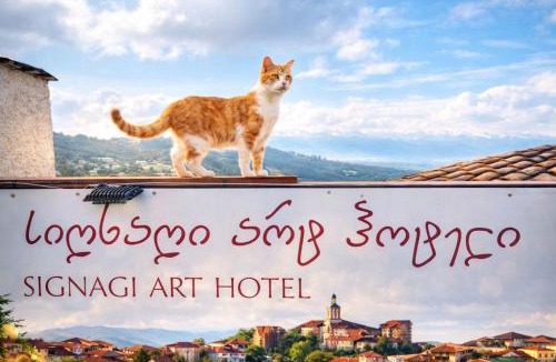 Sighnaghi Bed & Breakfast | Sighnaghi Art Hotel
