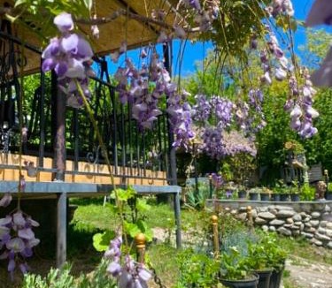 Ambrolauri House | Mta House Racha