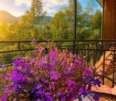Stepantsminda Hotel | Hotel Elegant