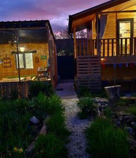 Mirzaani House | Green Owl