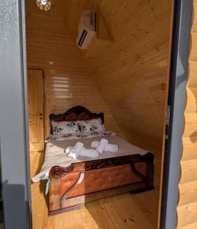 Salkhino Ski Chalet | Leader Guesthouse in Martvili