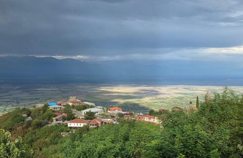 Sighnaghi Apartment | Dachi Apartment
