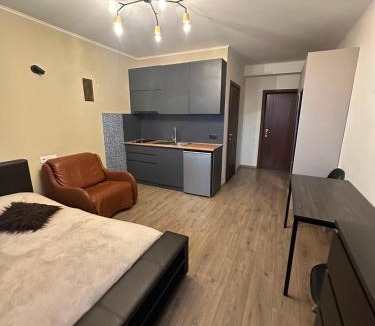 Bakuriani Apartment | Didveli K223