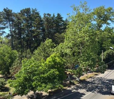 Kobuleti Bed & Breakfast | Park Hotel