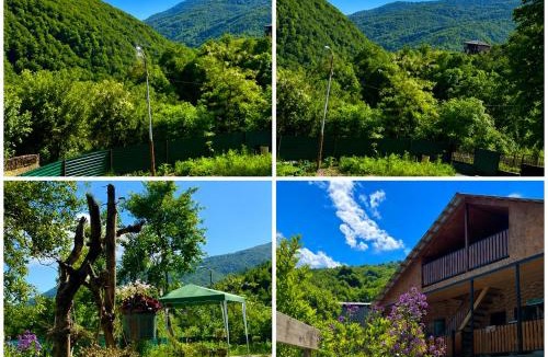 Ambrolauri House | racha cozy cottage