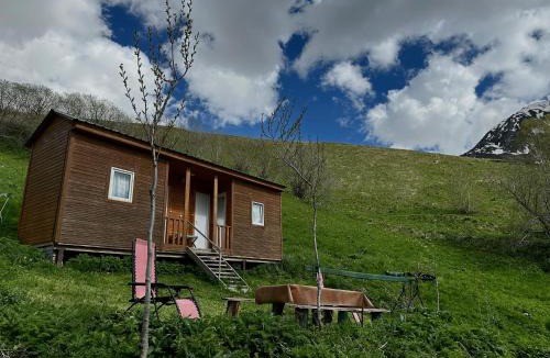 Juta House | amo-isuntke
