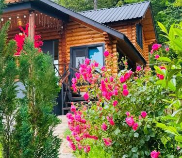 Tbilisi House | Уютный Деревянный дом в Кикети