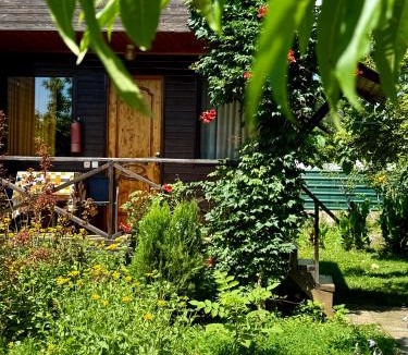 Tsqaltubo House | sweet village