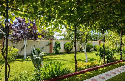 Tsqaltubo Other | Cappadociagarden