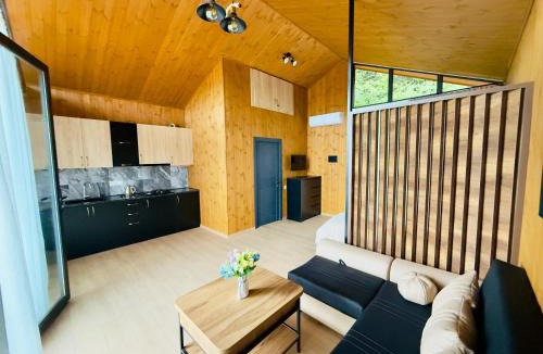 Vedzebi Apartment | Tianuli