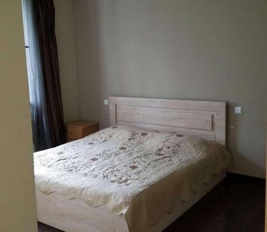 Bakuriani Resort | Elite House