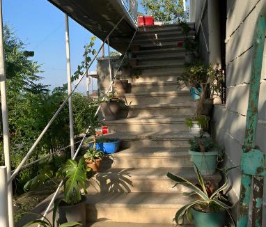 Telavi House | LZ Green House