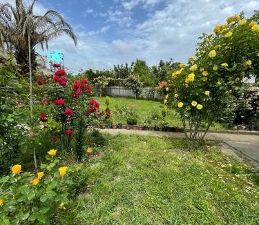 Samtredia House | House - Kutaisi International Airport 15 Minutes- Quiet cozy house with parking