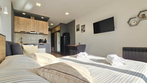 Dusheti Apartment | GVC New Gudauri Loft-2