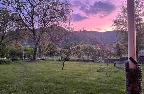 T'ba House | Guest House Aleksandre