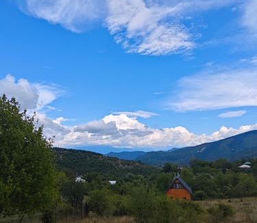 Ambrolauri House | Qusarion - ქუსარიონი