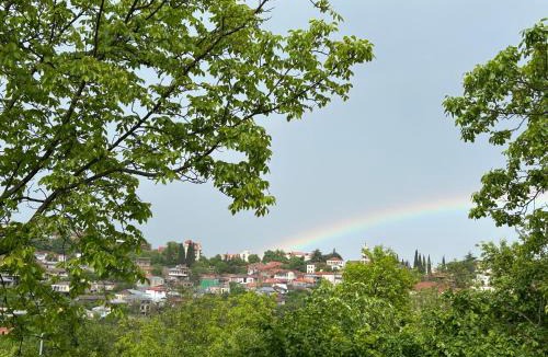 Sighnaghi House | Guest House Maradona