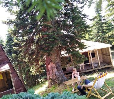 Khulo House | House in forest