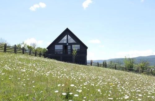 Tsilkani Apartment | Dusheti Inn Cottage